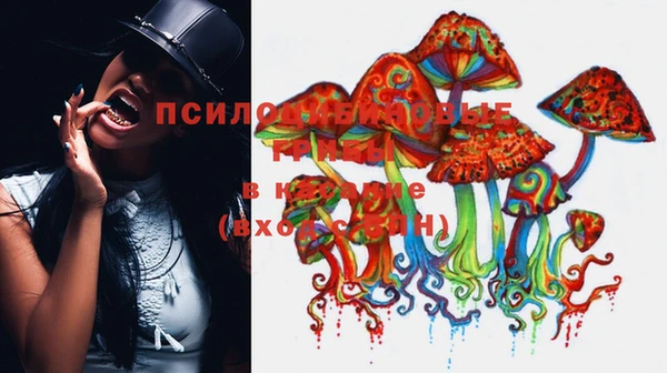 mdpv Баксан