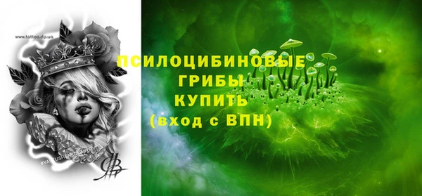 ПСИЛОЦИБИНОВЫЕ ГРИБЫ Армянск