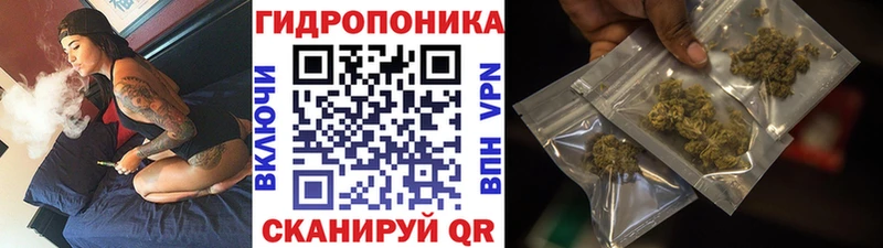 МАРИХУАНА OG Kush  где купить   Мичуринск 